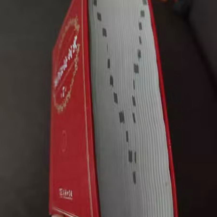现代汉语辞典 图片 2