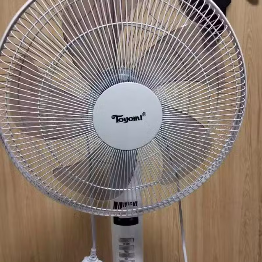 五叶落地扇  98922390 图片 2