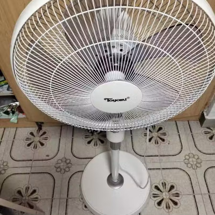 五叶落地扇  98922390 图片 4
