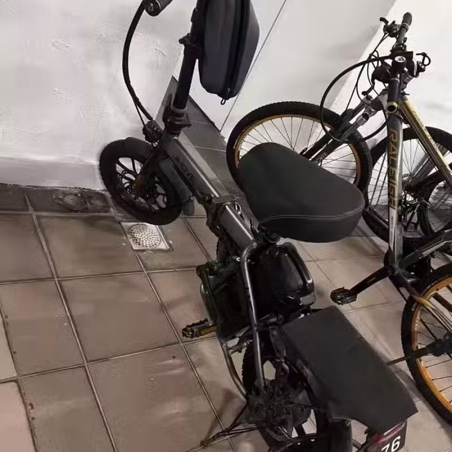 E bike 电动自行车 图片 2