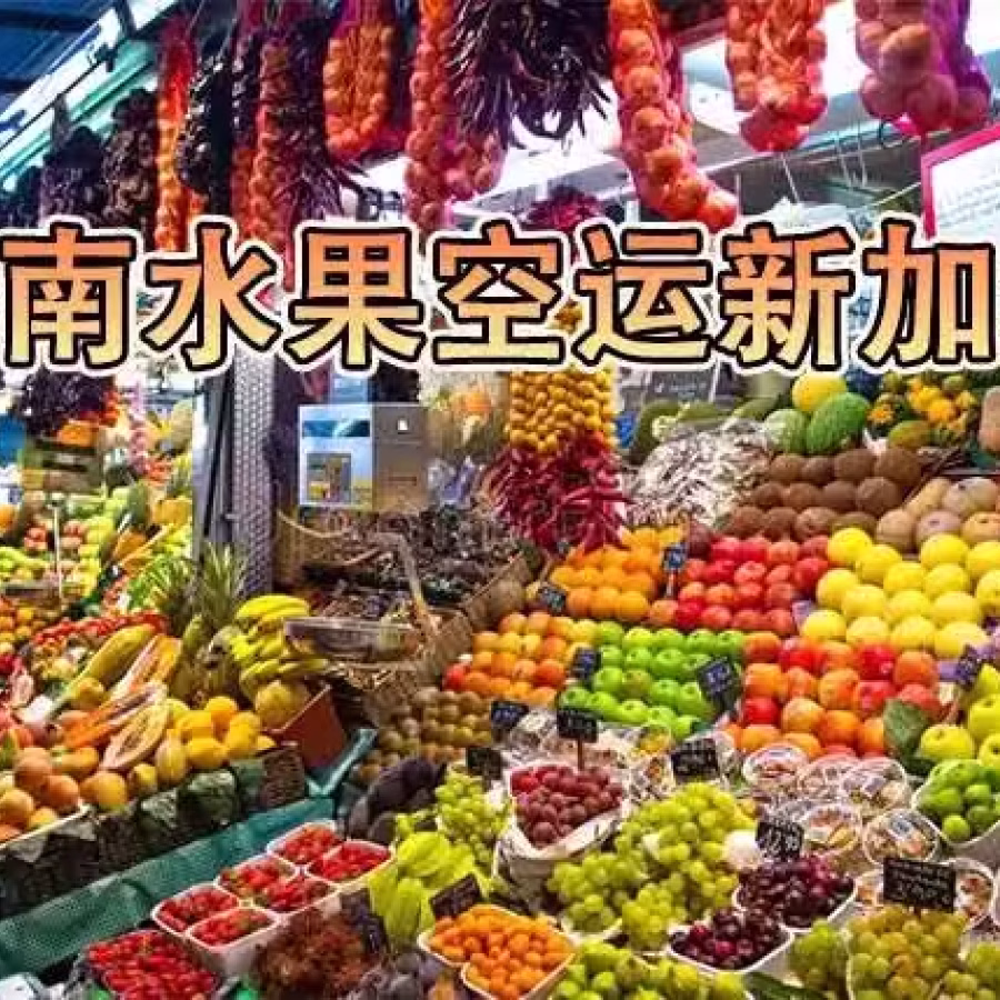 圣女果/小番茄/蔬果从云南昆明空运新加坡 图片 2