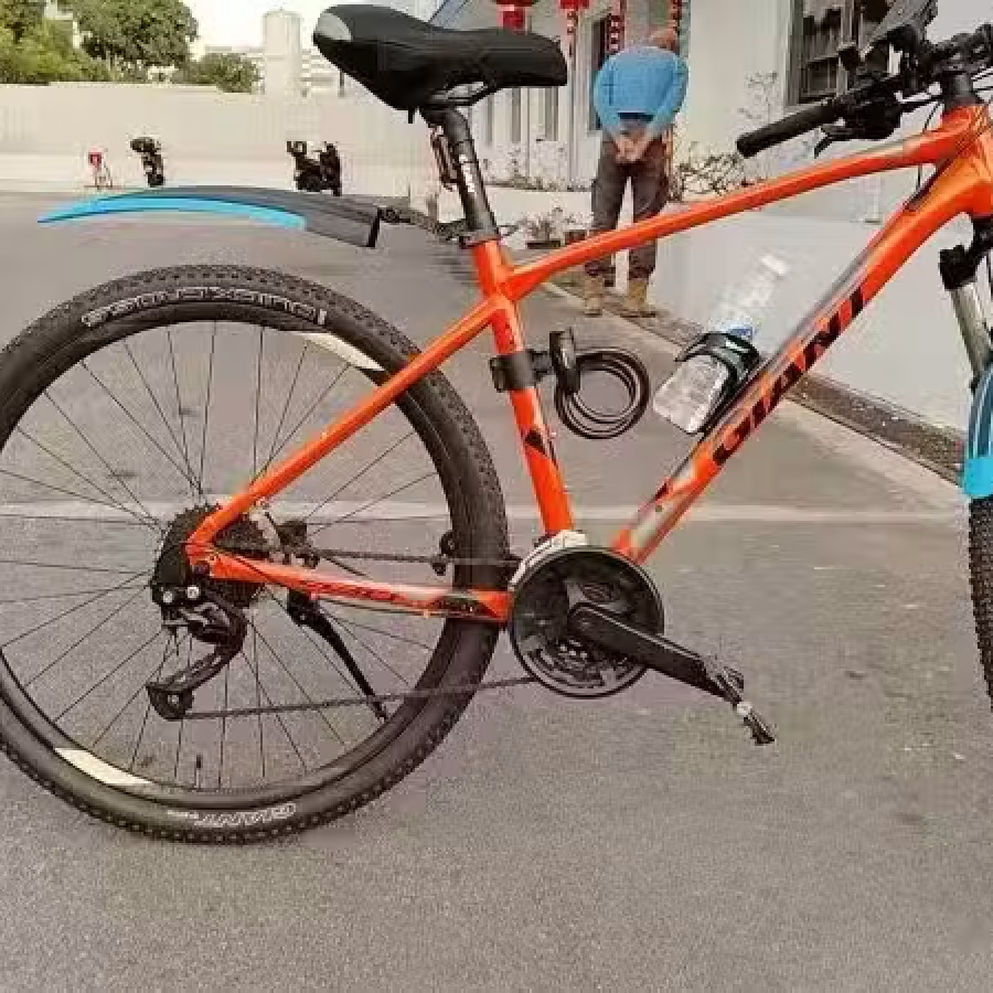 GIANT自行车 图片 1