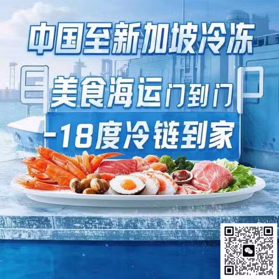 中国传统美食冷冻食品及预制菜通过冷冻集装箱海运到新加坡需注意什么？ 图片 1
