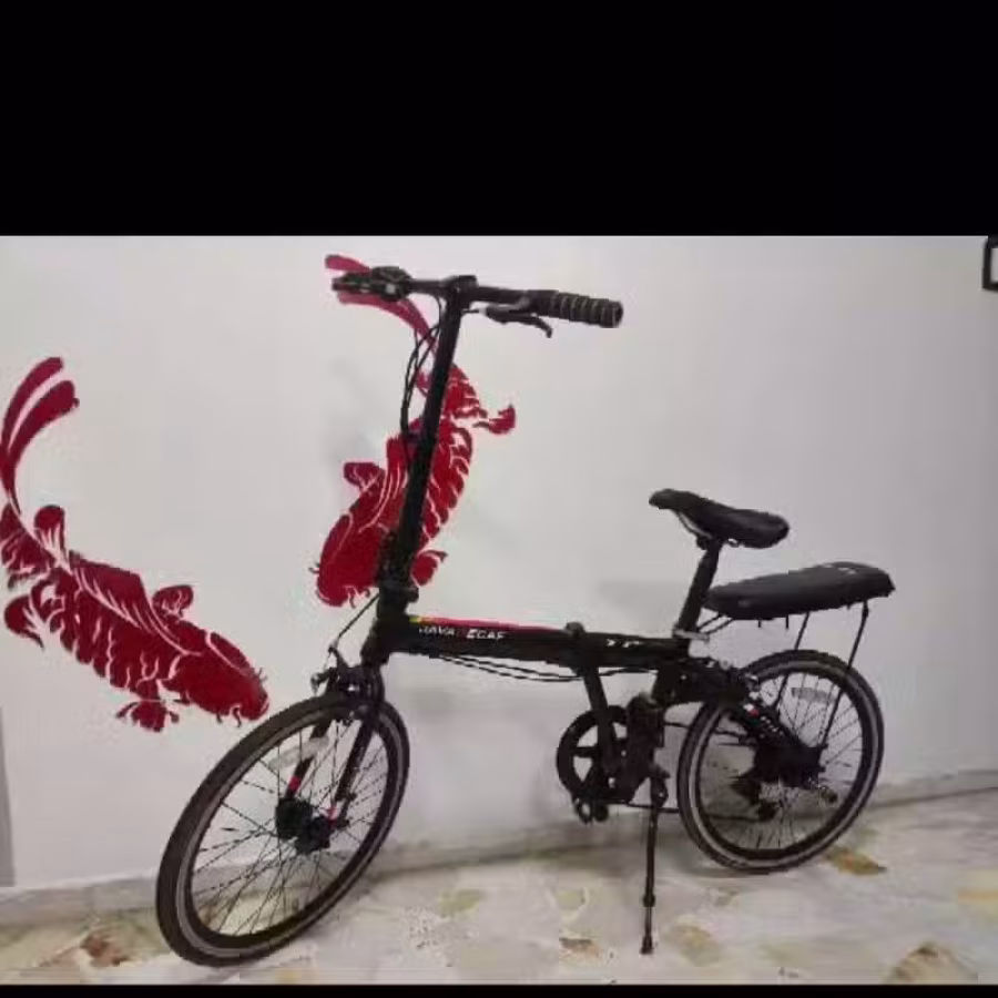小轮自行车 图片 1