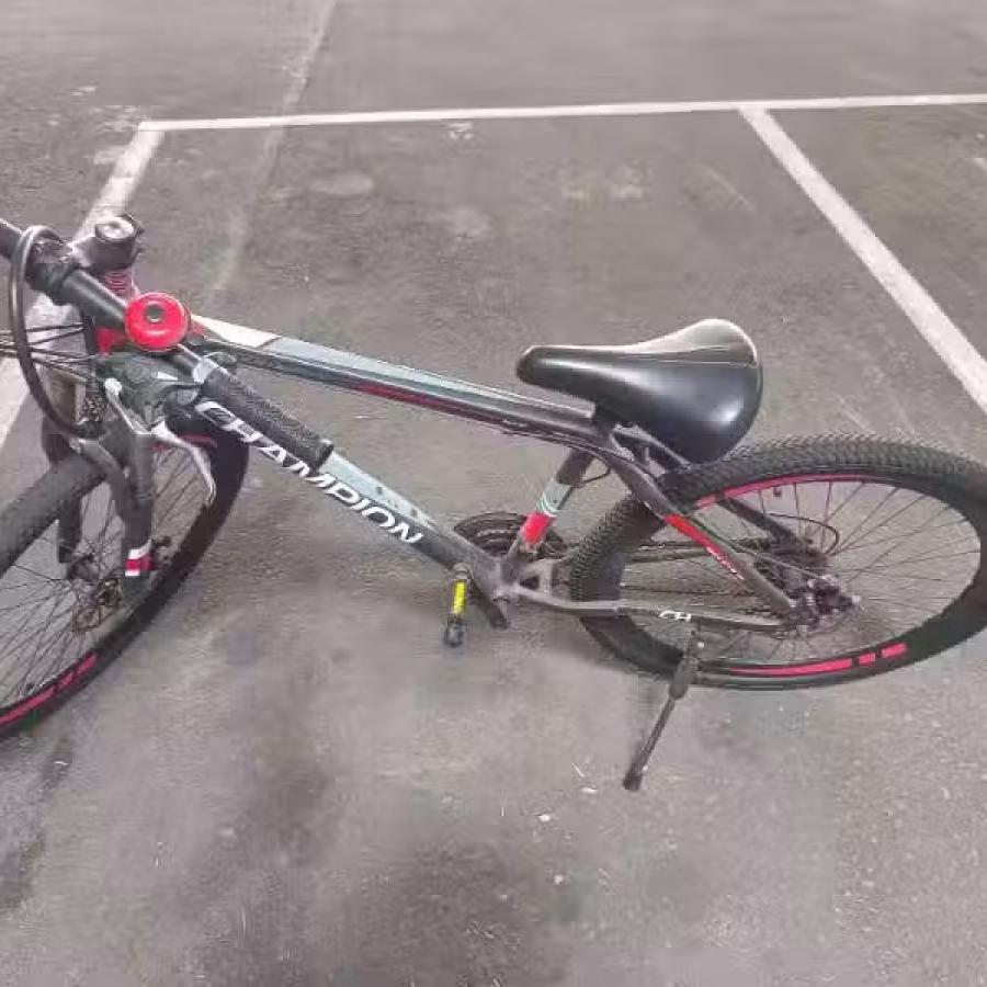 三巴旺，自行车30自取 图片 1