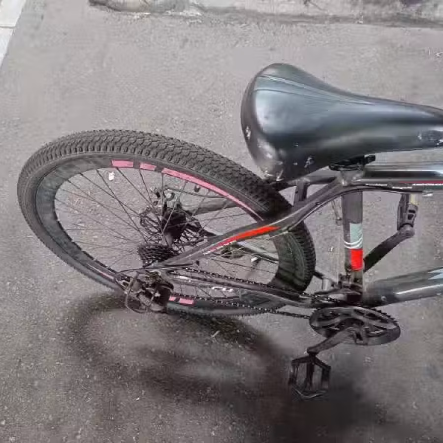 三巴旺，自行车30自取 图片 2