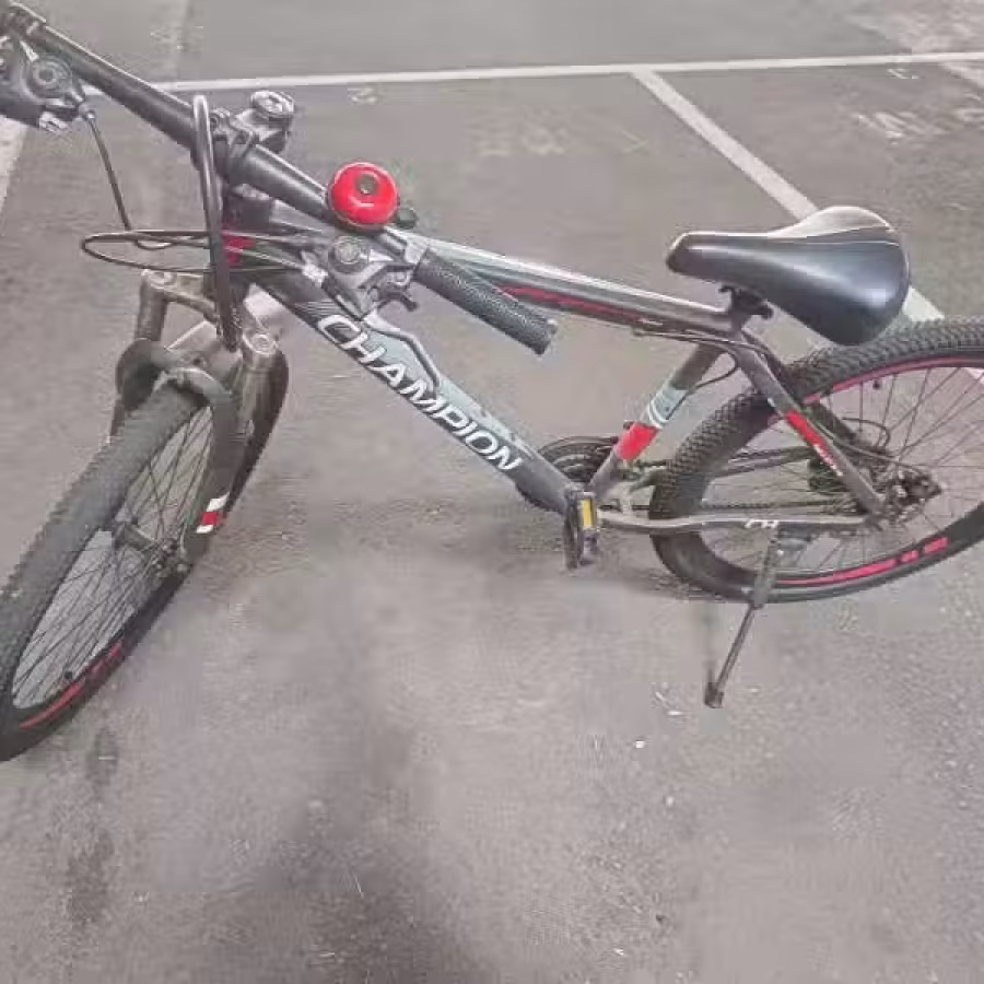 三巴旺，自行车30自取 图片 3