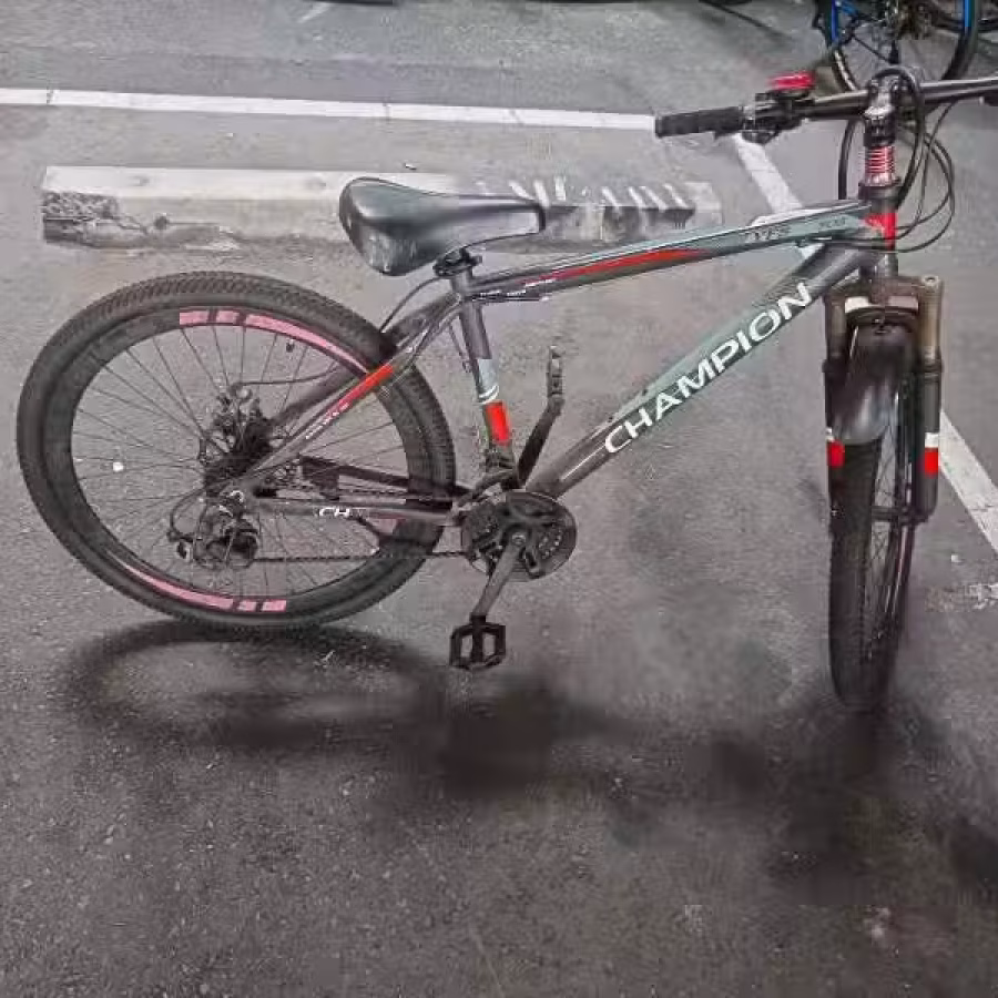 三巴旺，自行车30自取 图片 4