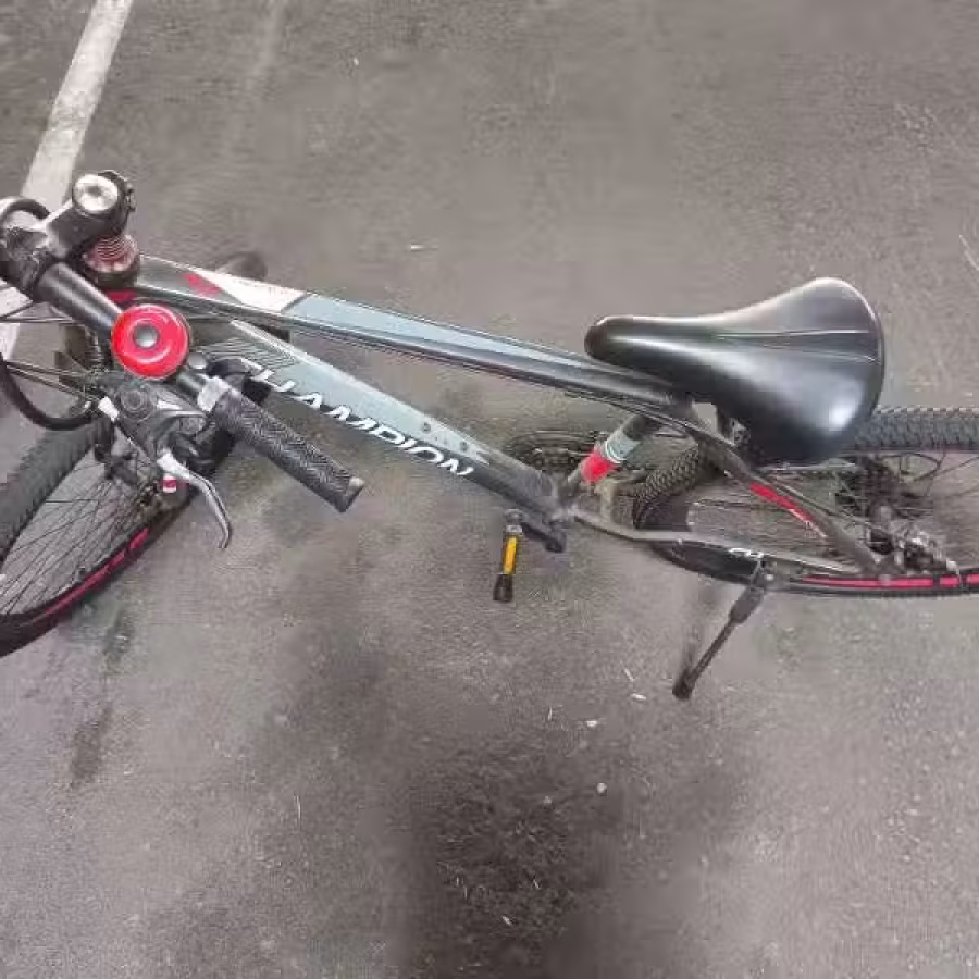 三巴旺，自行车30自取 图片 5