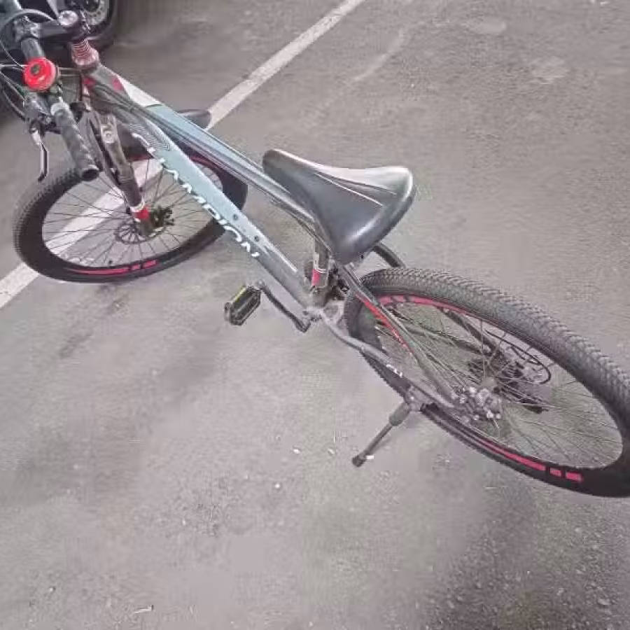 三巴旺，自行车30自取 图片 6