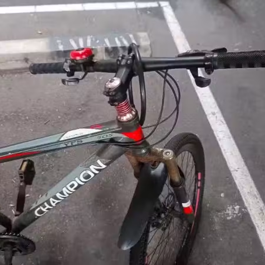 三巴旺，自行车30自取 图片 7