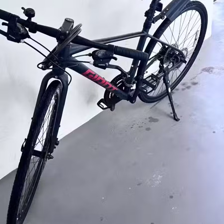 捷安特平把公路车 图片 1