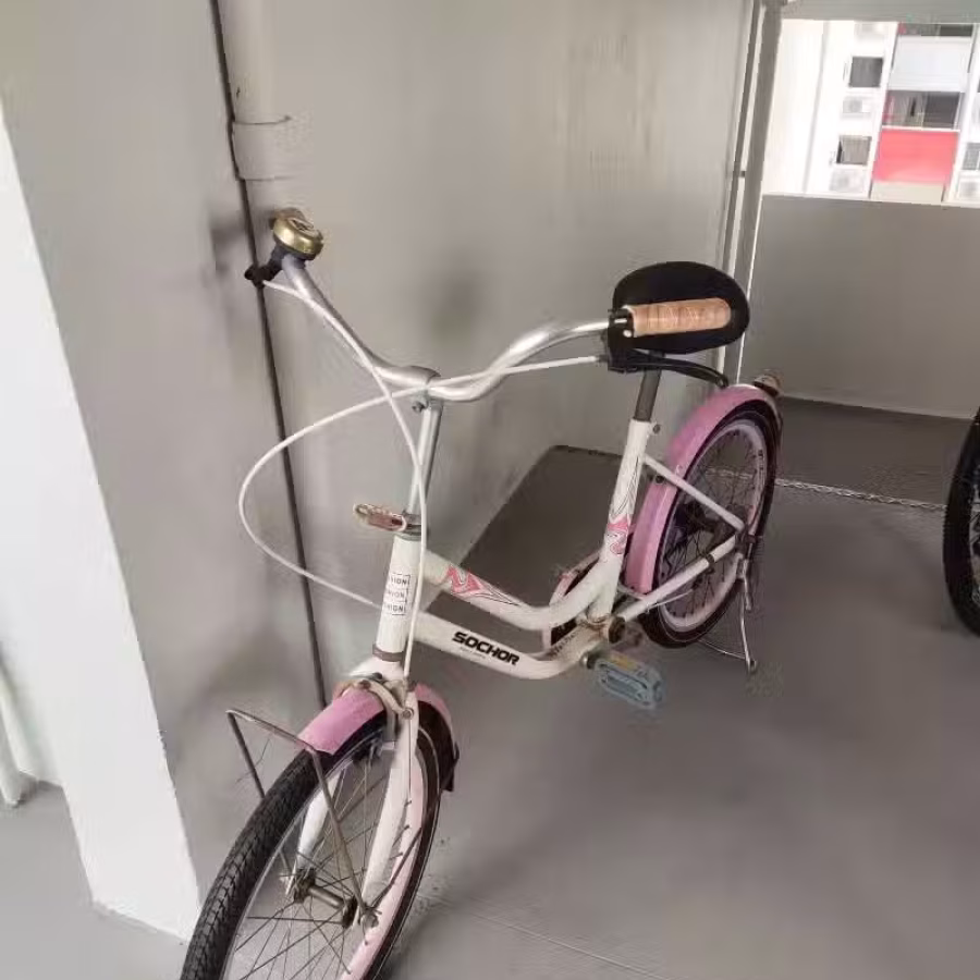 二手女士自行车 图片 1