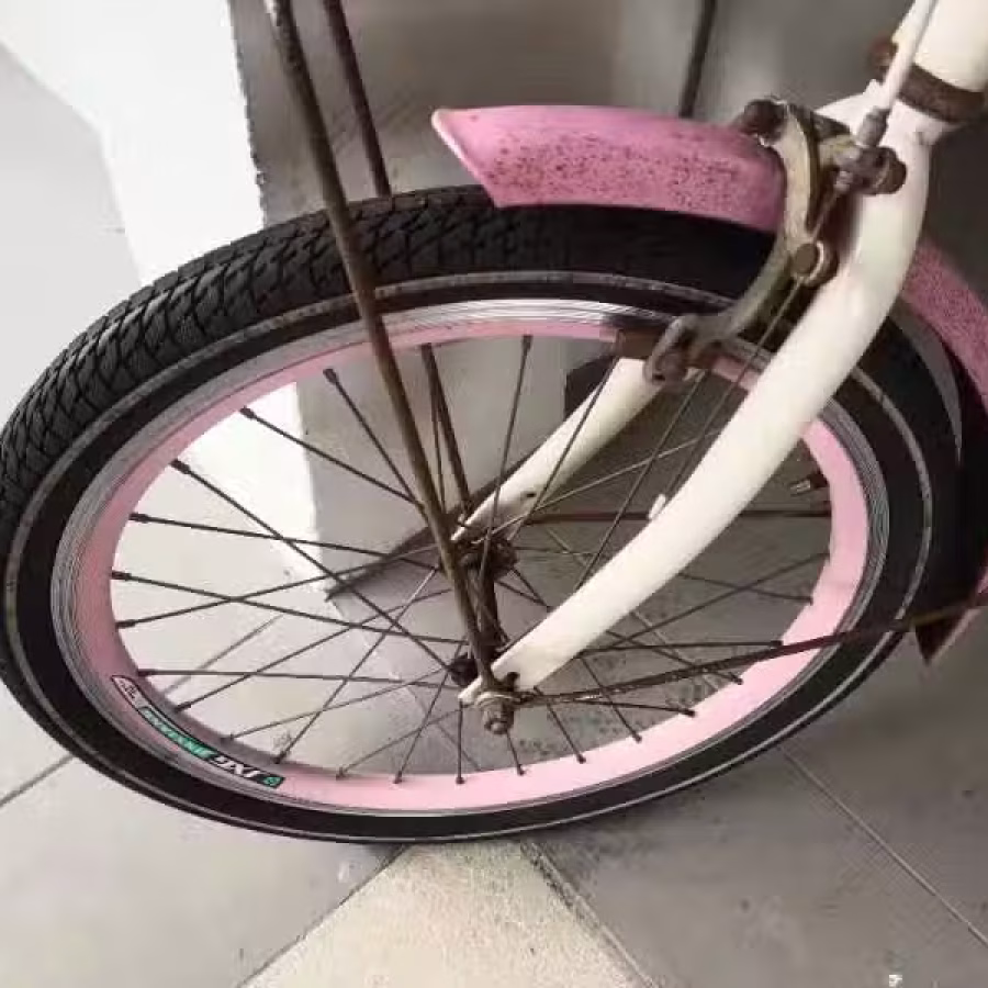 二手女士自行车 图片 2