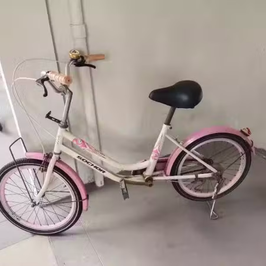 二手女士自行车 图片 3