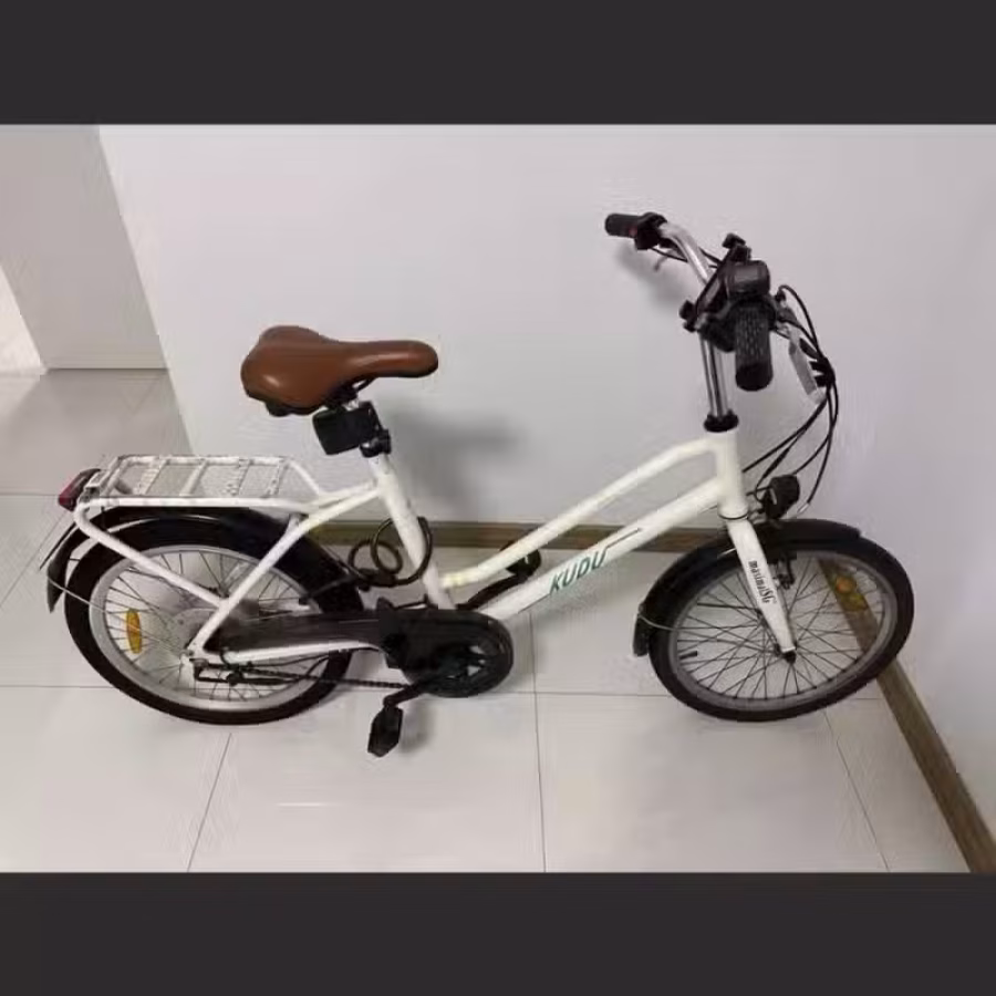 电动脚车 图片 1