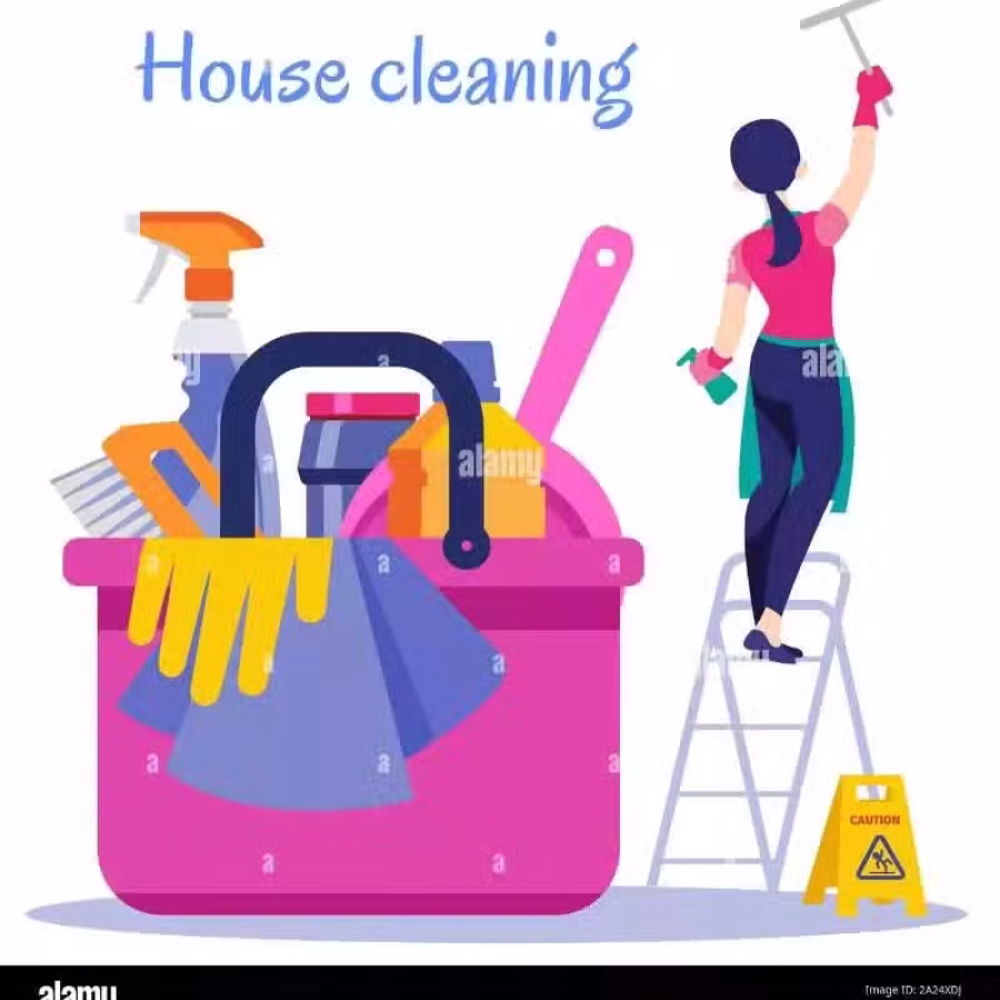 House Cleaning 家庭卫生打扫 图片 1