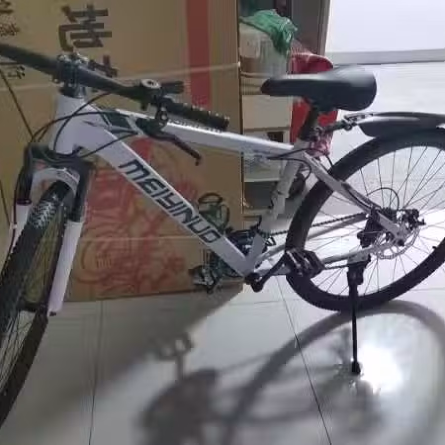 盛港出售旧自行车 图片 2