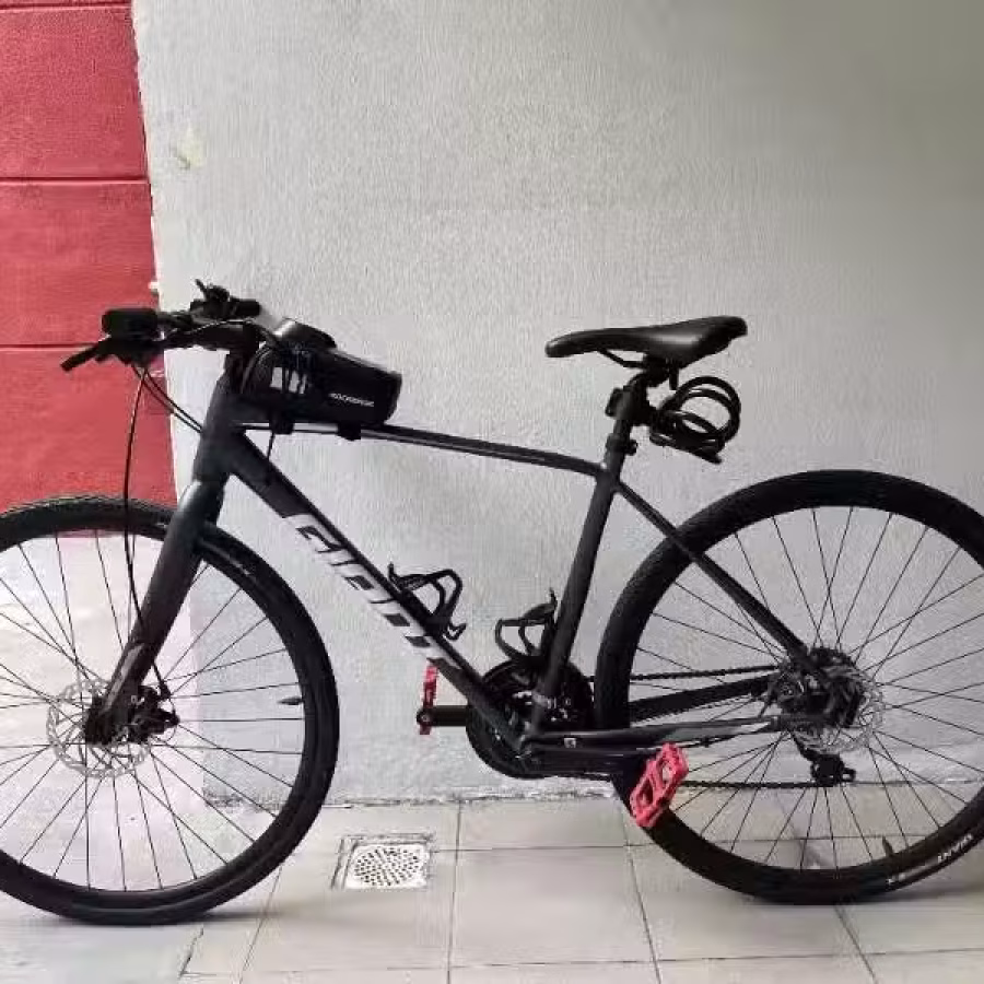 Giant Escape 2 Bike 图片 1