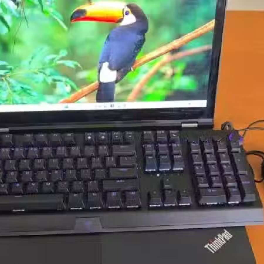 9成新 thinkpadp15 16g显卡 图片 2