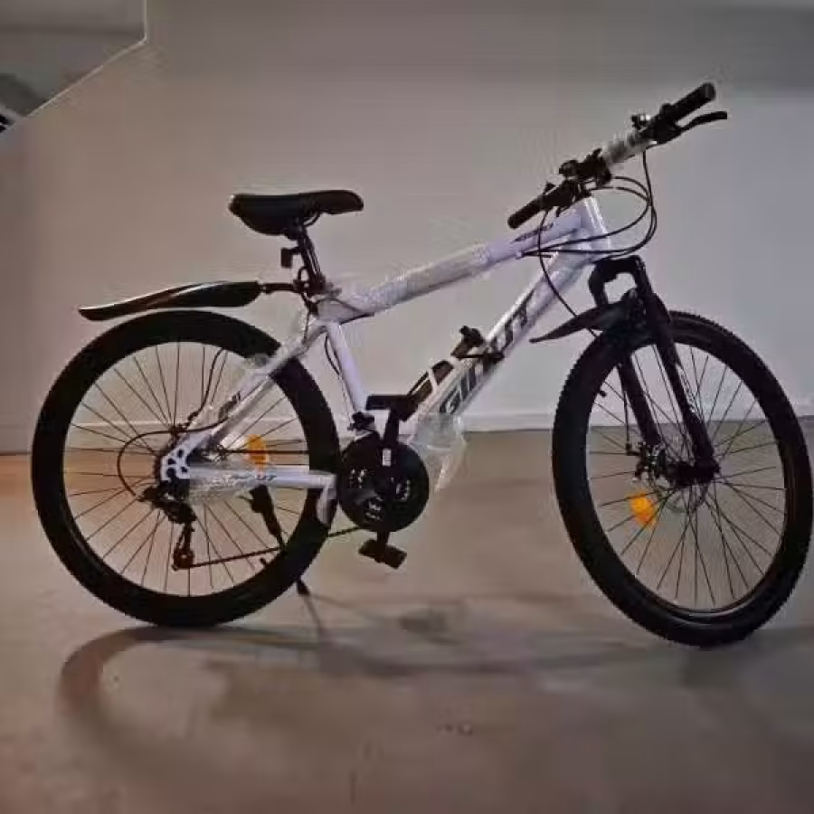 全新自行车。便宜处理 图片 1