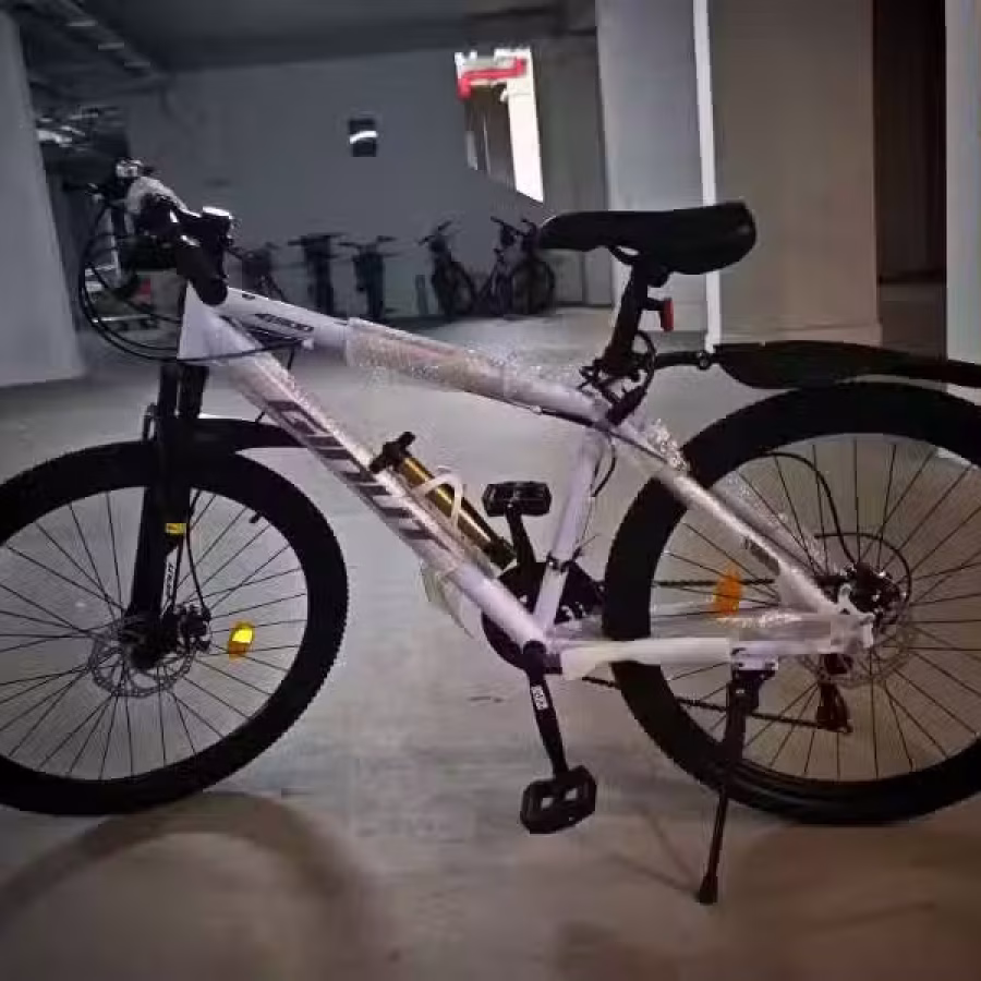 全新自行车。便宜处理 图片 2