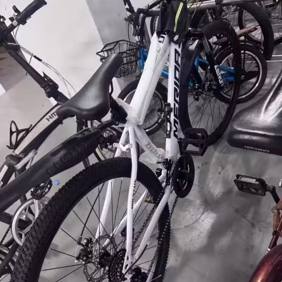 全新自行车 图片 2