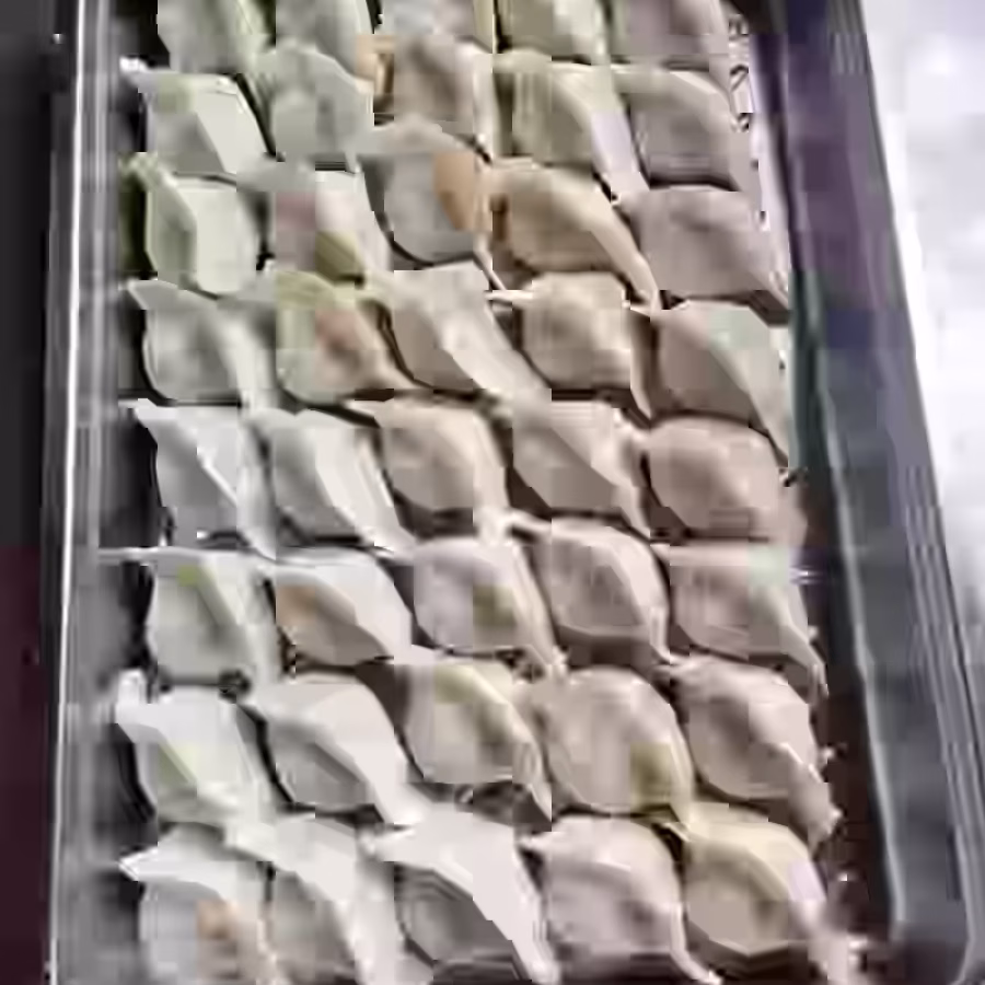 东北水饺 手工制作 图片 1