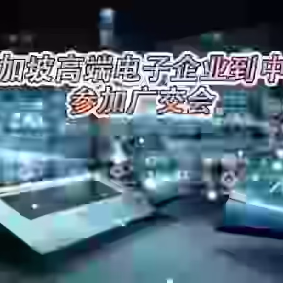 新加坡到中国ATA运输,新加坡企业ATA空运展品至中国广州 图片 2