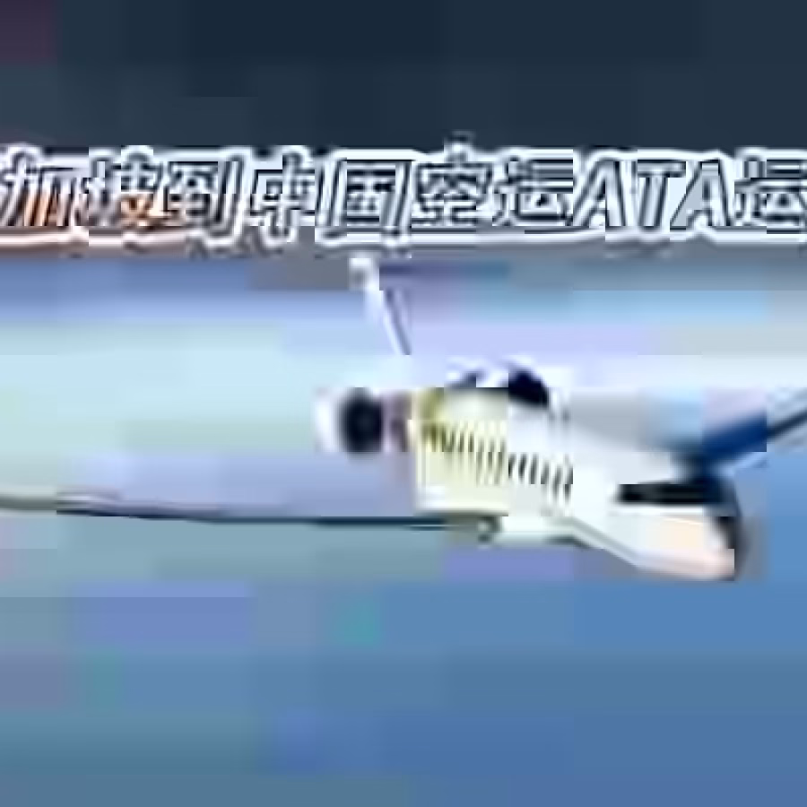新加坡到中国ATA运输,新加坡企业ATA空运展品至中国广州 图片 3