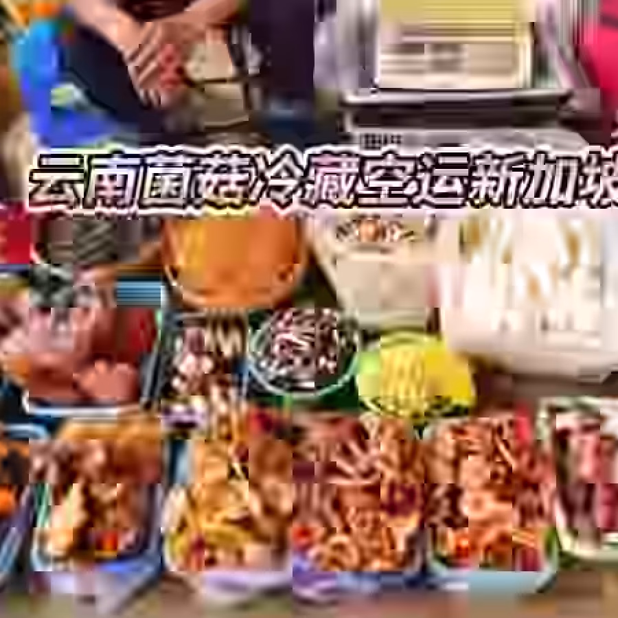 云南生鲜蔬菜菌菇冷藏空运新加坡全程门到门 图片 2