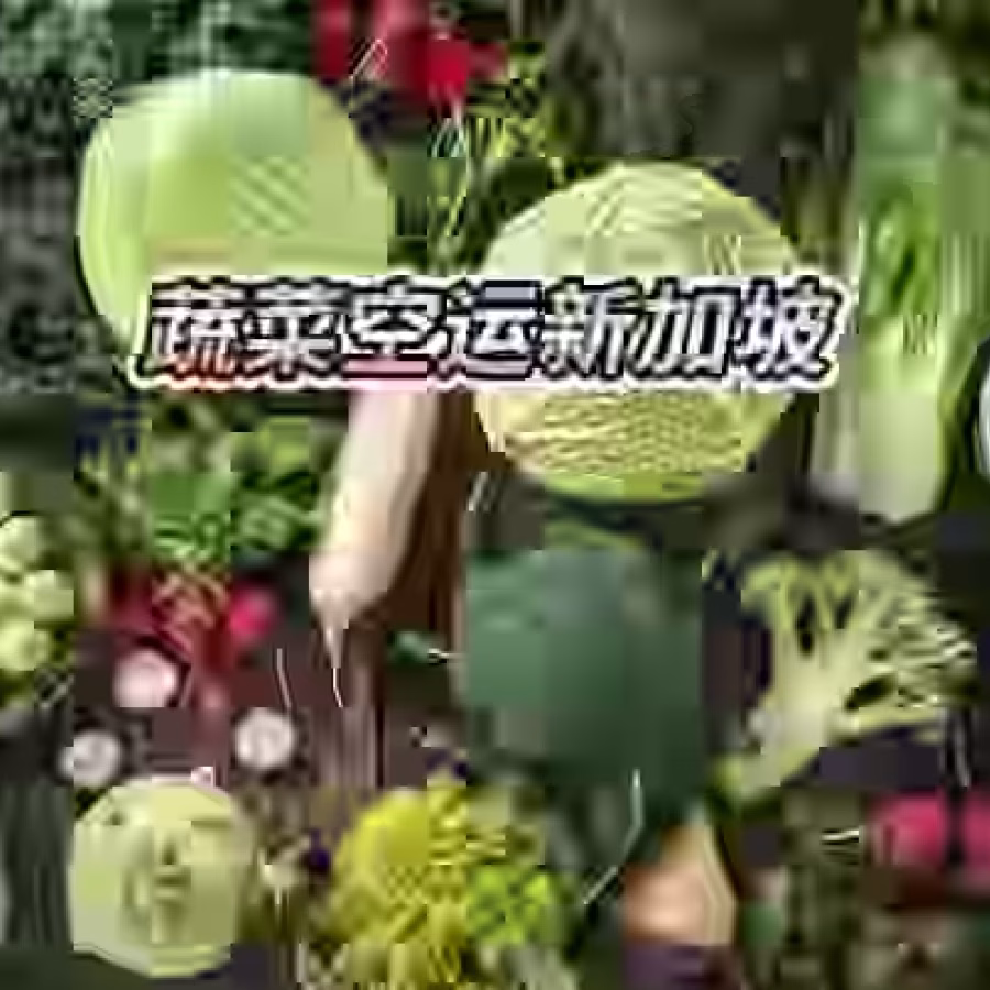 云南生鲜蔬菜菌菇冷藏空运新加坡全程门到门 图片 3