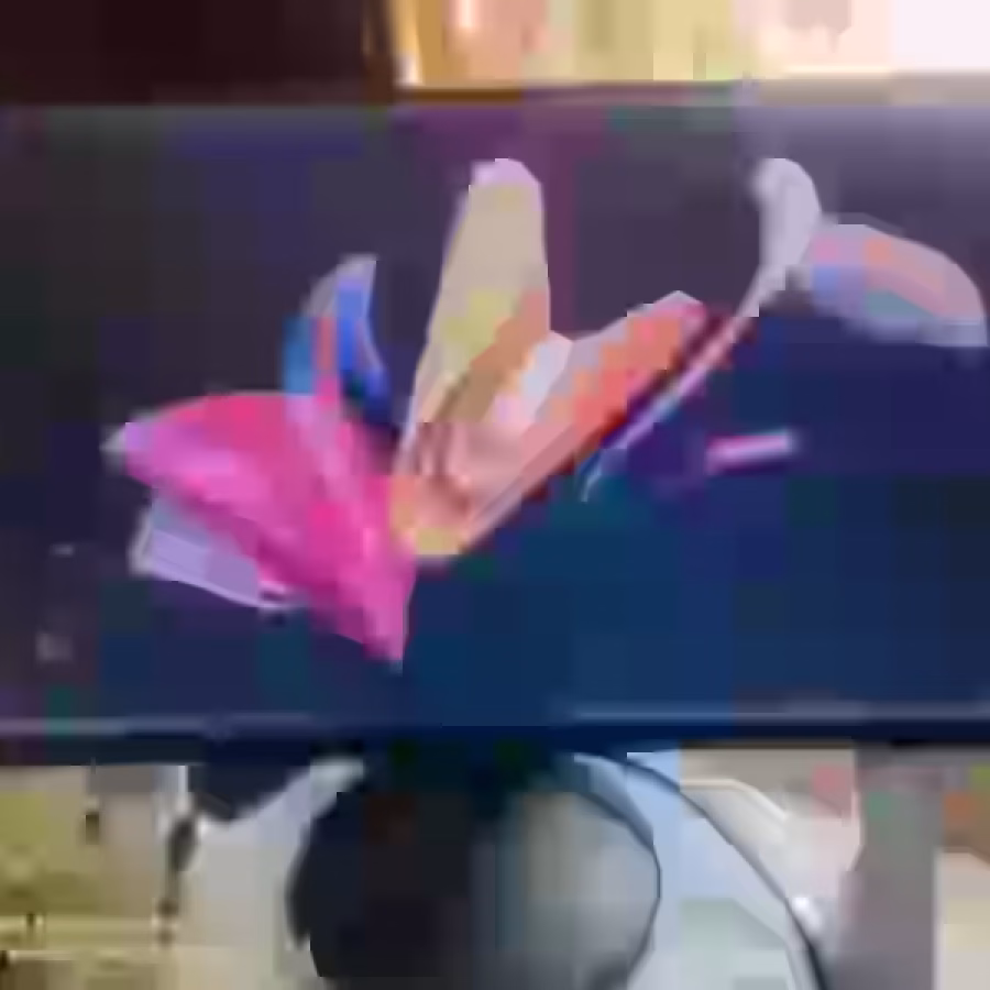 显示器 图片 1