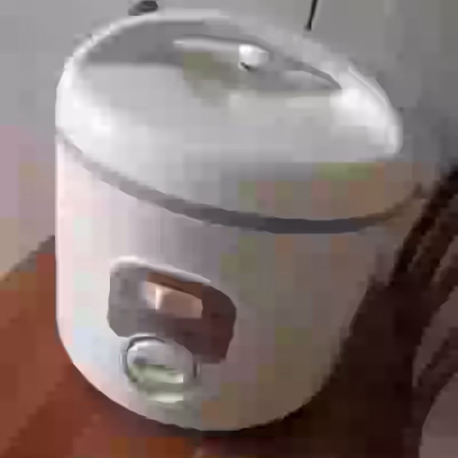 多功能大号电饭煲 图片 2