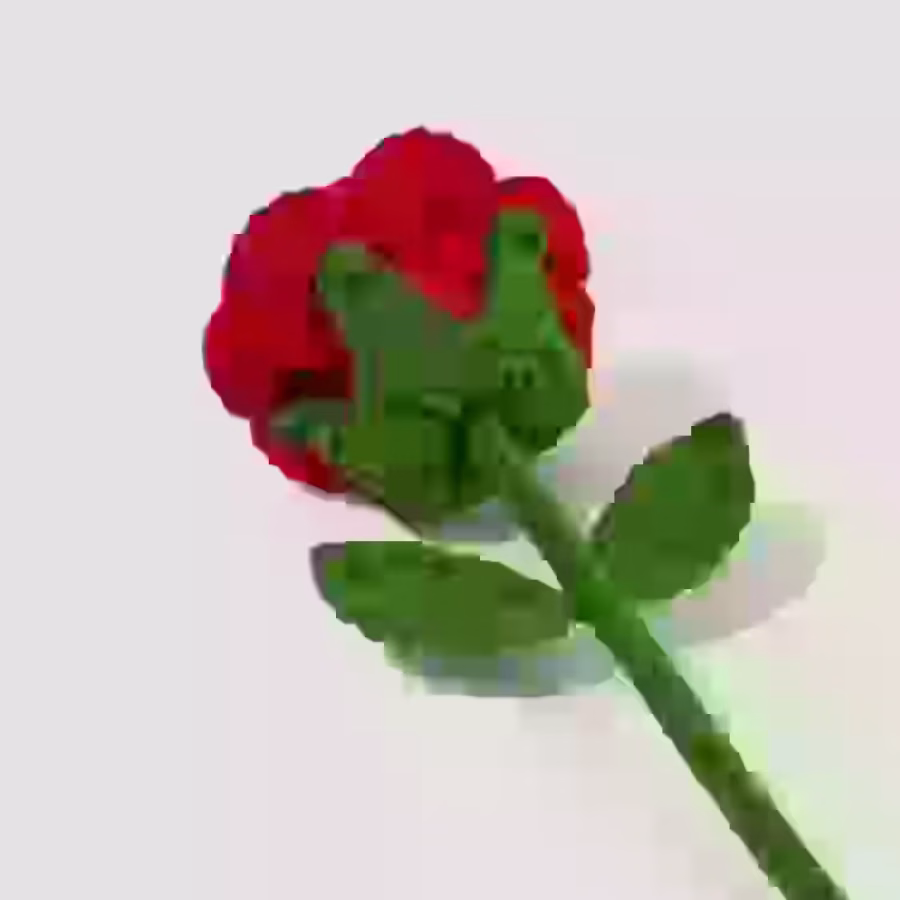 手工编织花束 图片 13