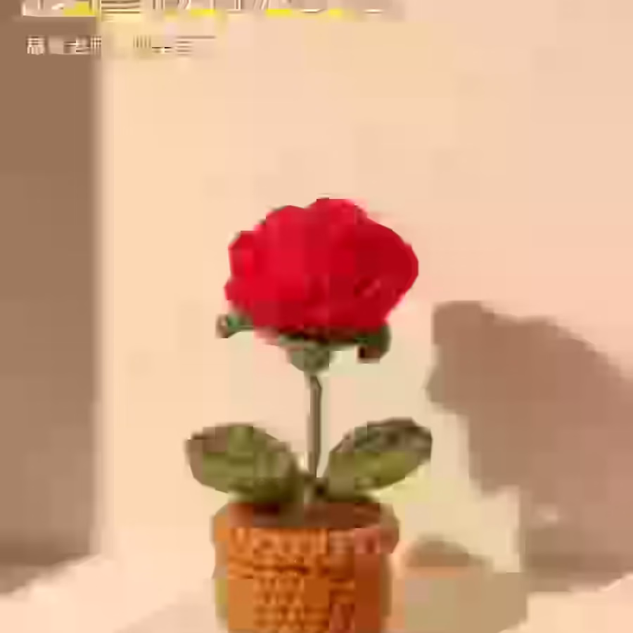 手工编织花束 图片 6