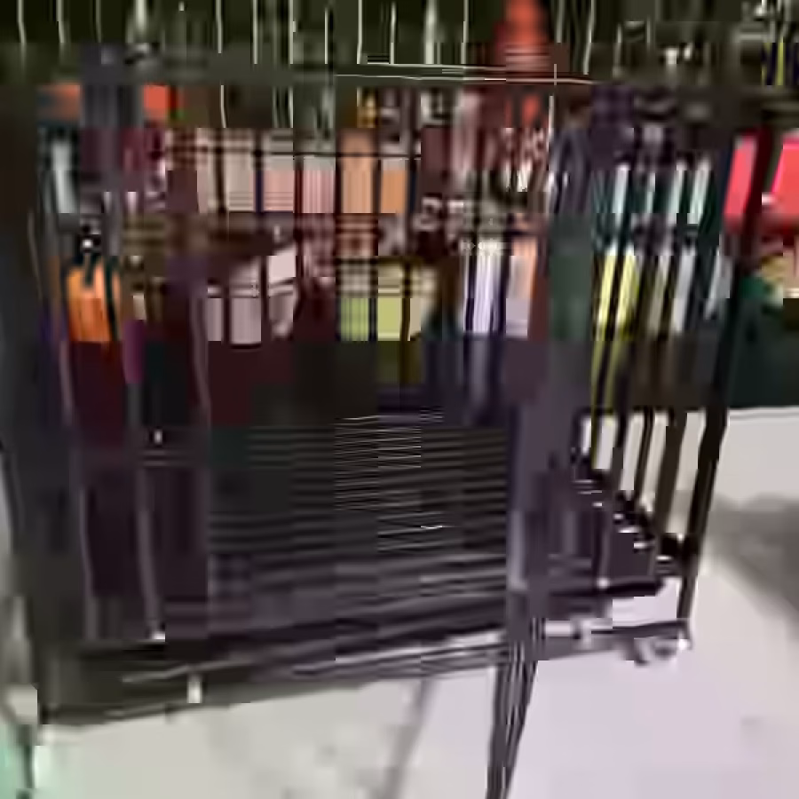 全新狗笼 图片 1