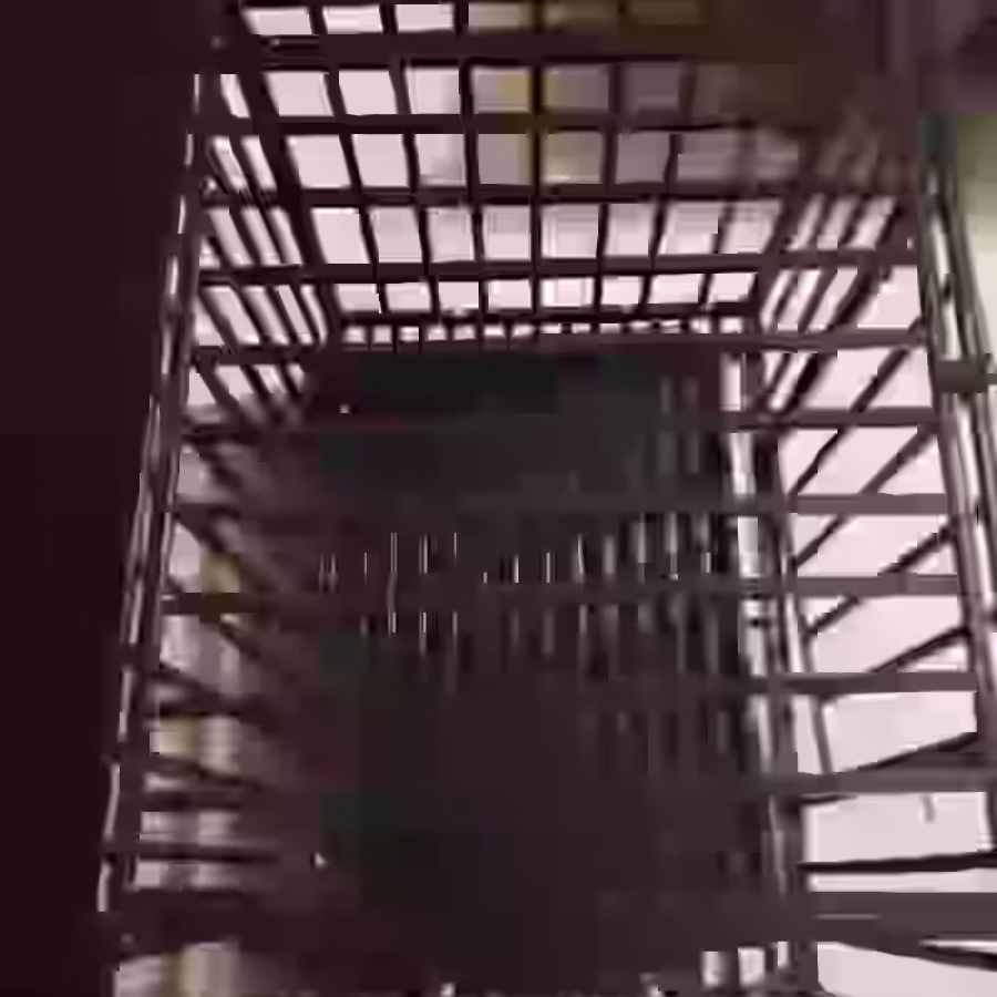全新狗笼 图片 4