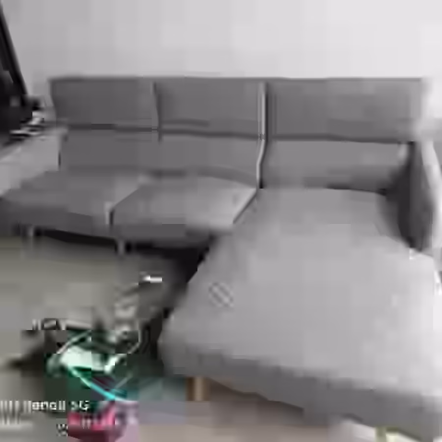 沙发出售 图片 2