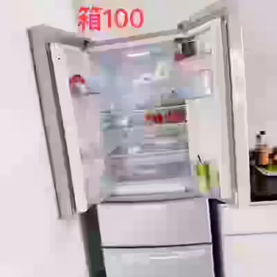 双开门冰箱50 图片 2
