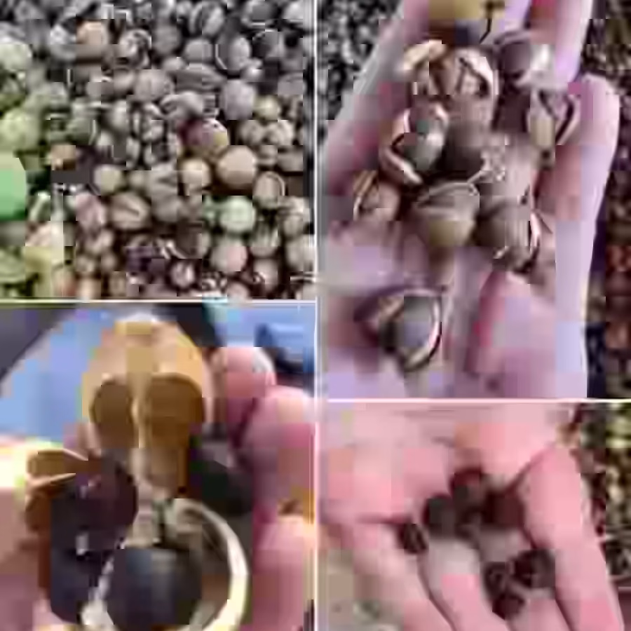 山茶油 图片 2