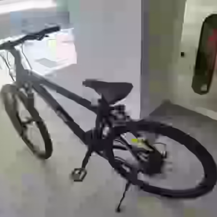 喜德盛自行车 图片 1