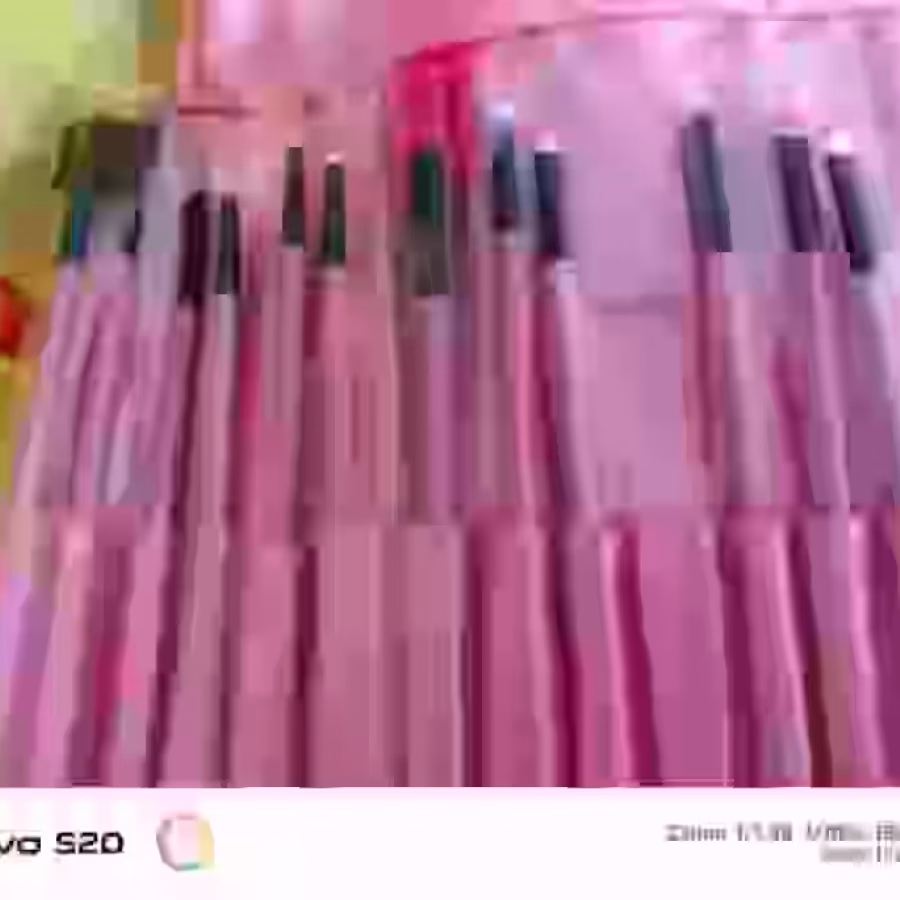 化妆刷一套21个 图片 2