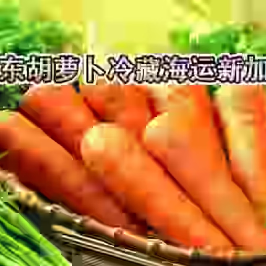 水果蔬菜整柜冷藏海运到新加坡10天送货到门 图片 1