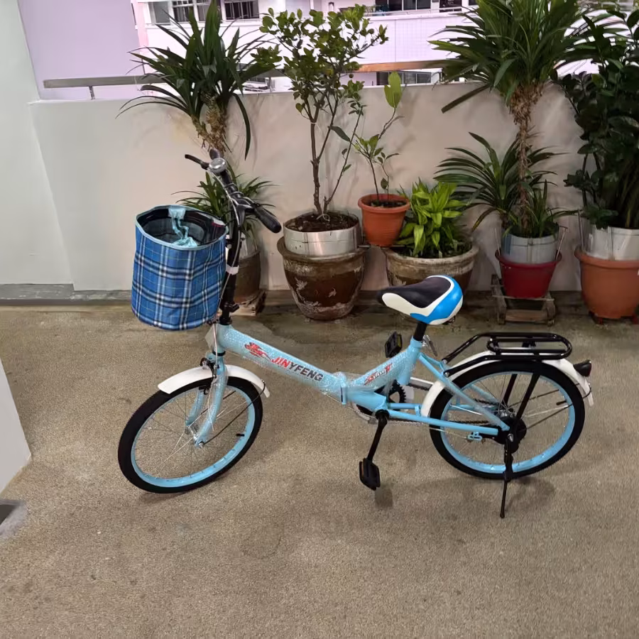 全新自行车 图片 1