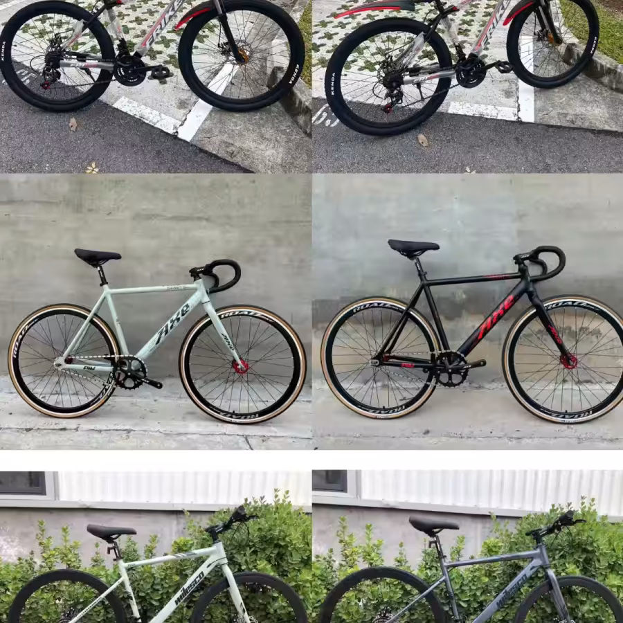 新加坡自行车，品质好物，质量很好，保证可以骑得住 图片 4