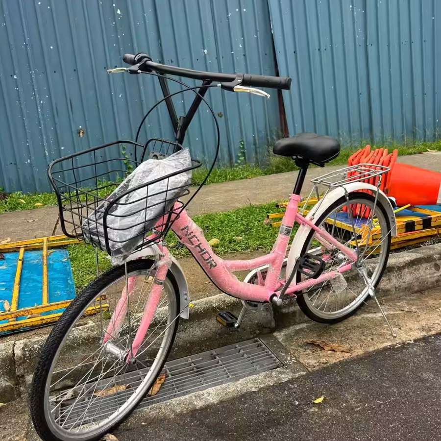 新加坡自行车，品质好物，质量很好，保证可以骑得住 图片 10