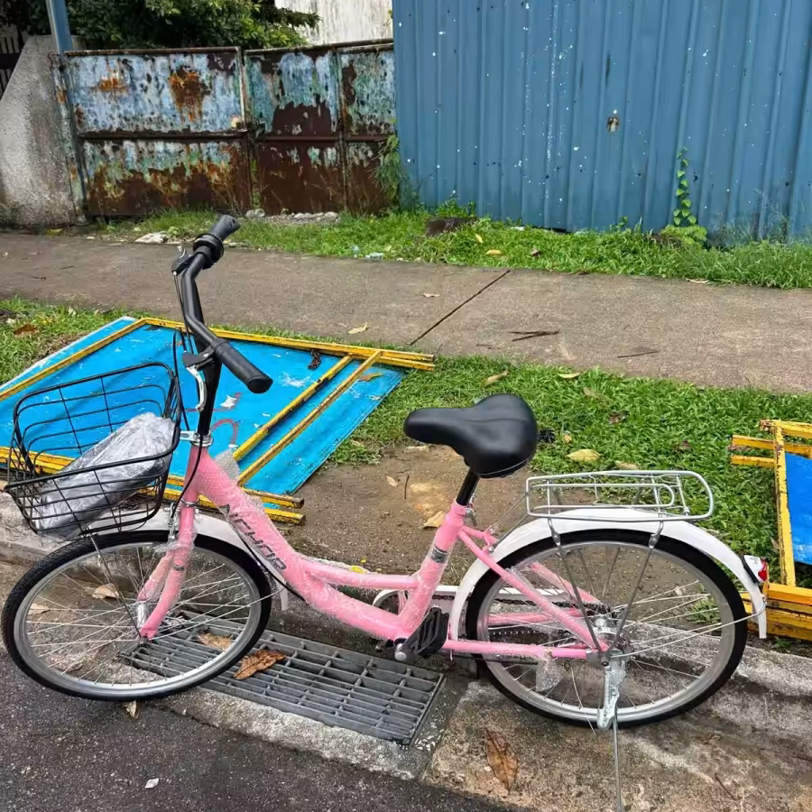 新加坡自行车，品质好物，质量很好，保证可以骑得住 图片 11