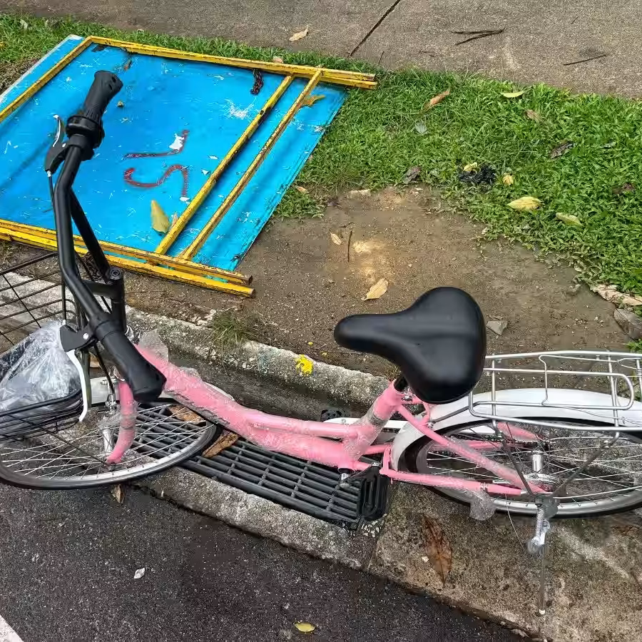 新加坡自行车，品质好物，质量很好，保证可以骑得住 图片 12