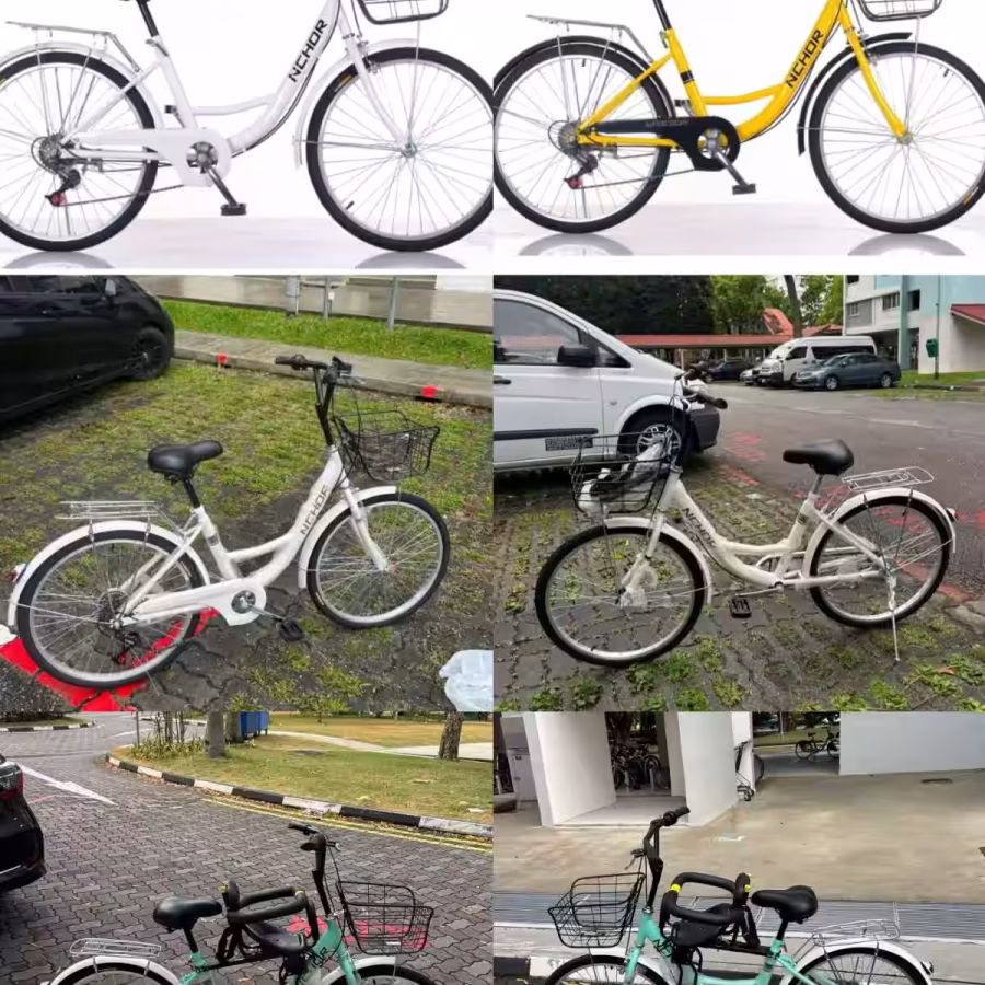 新加坡自行车，品质好物，质量很好，保证可以骑得住 图片 14